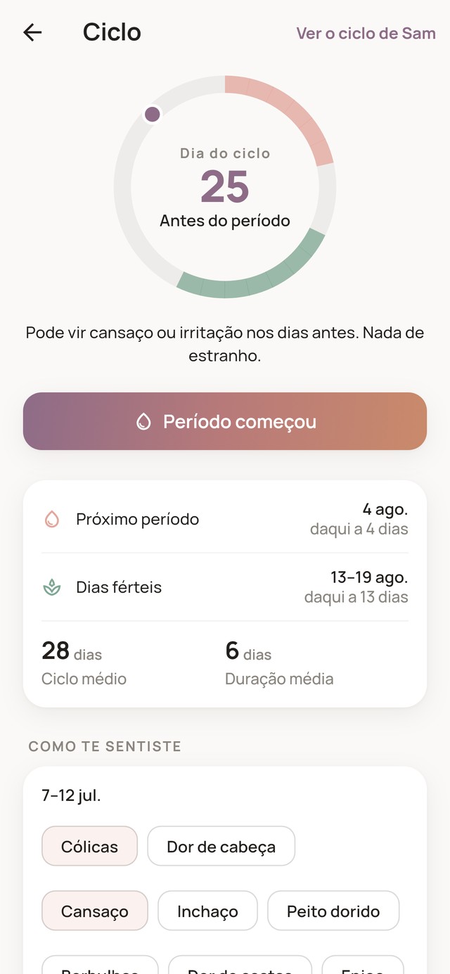 Ecrã de registo de ciclo a mostrar o dia atual do ciclo, o próximo período e a janela fértil, e como correu o dia