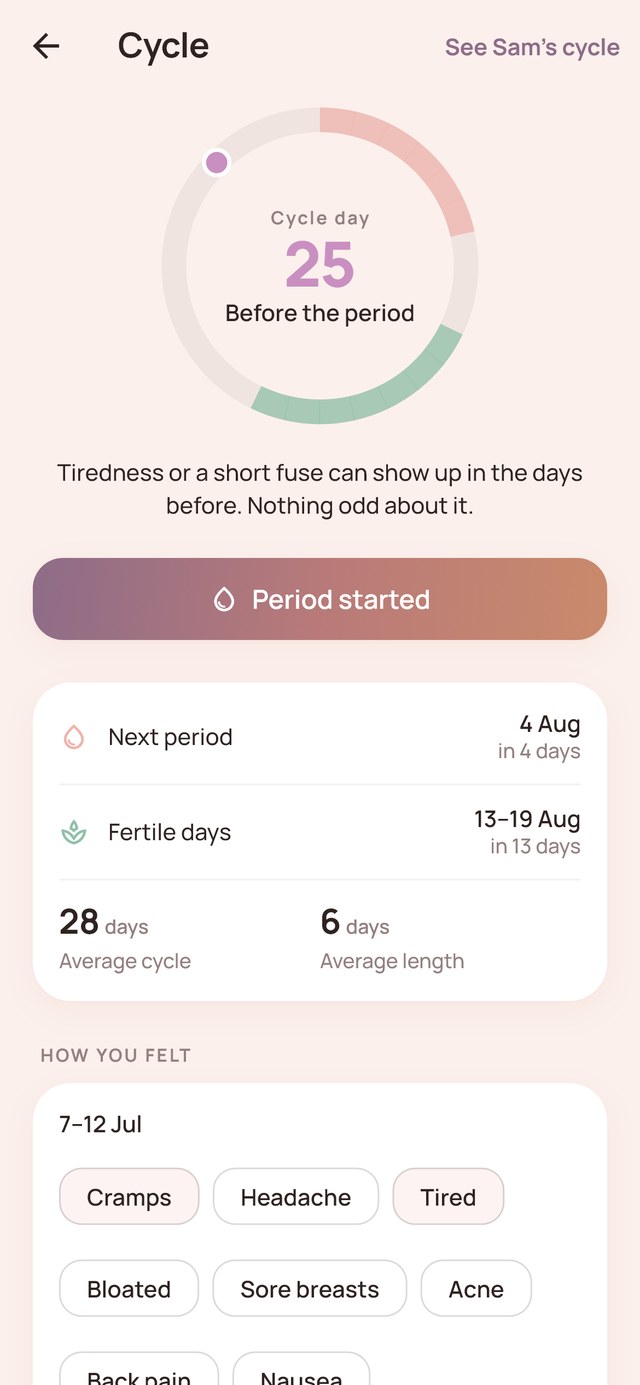 Cycle tracking screen showing the current cycle day, next period and fertile window, and how the day felt
